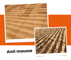 anti mousse