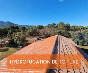 Hydrofuge de toiture