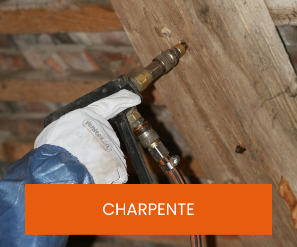 TRAITEMENT DE CHARPENTE