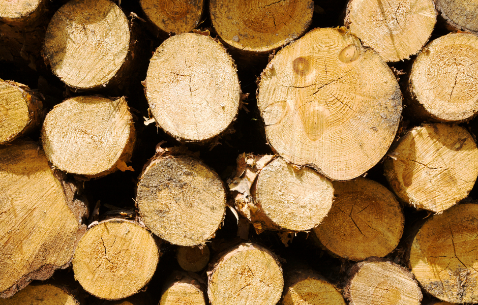 Traitement de charpente, bois de charpente