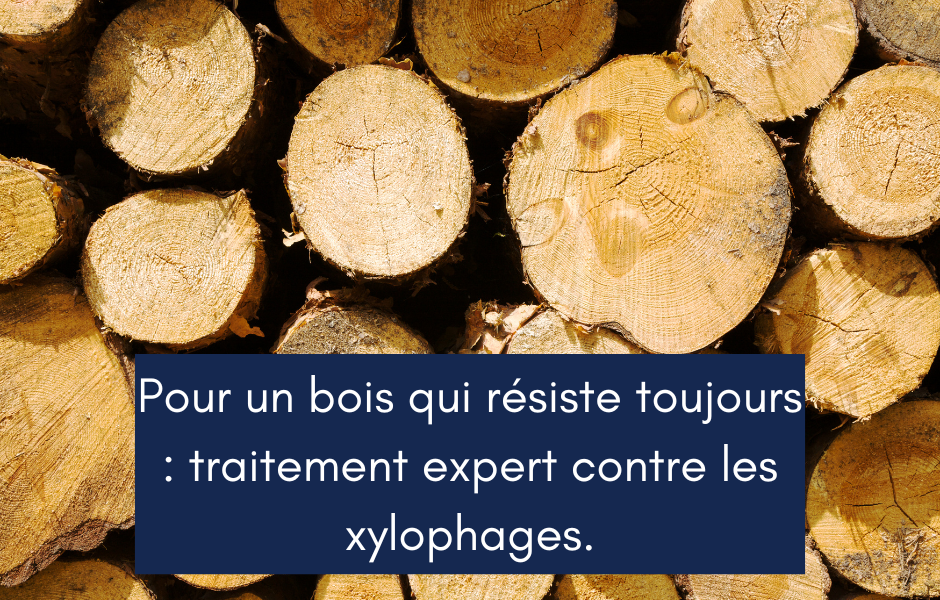 Charpente, Charpentier