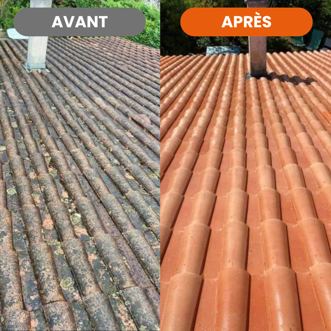 Avant Après Nettoyage et démoussage Chantier Hérault Lunel