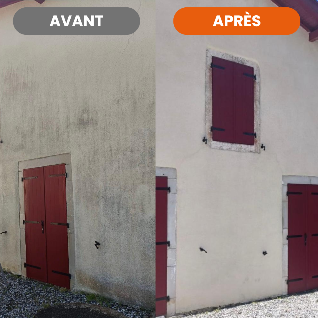 Nettoyage et démoussage de façade