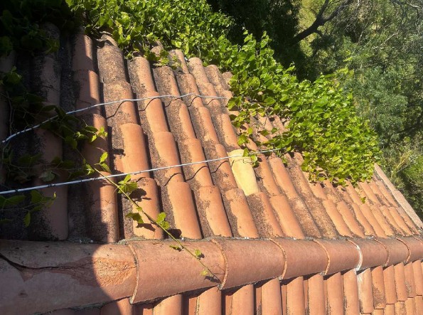 Toiture après traitement hydrofuge incolore CTH Hérault